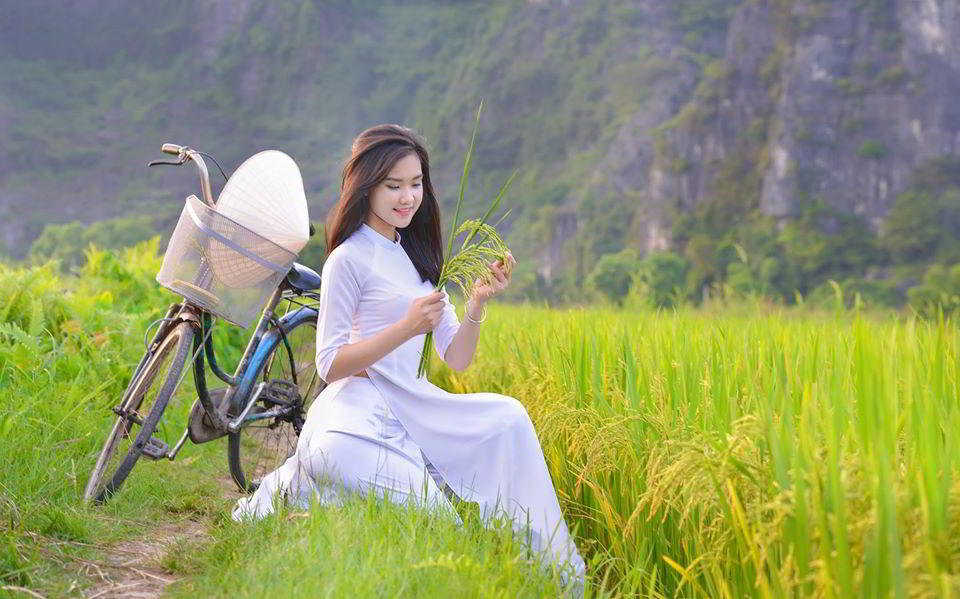 ninh-binh-mua-lua-chin