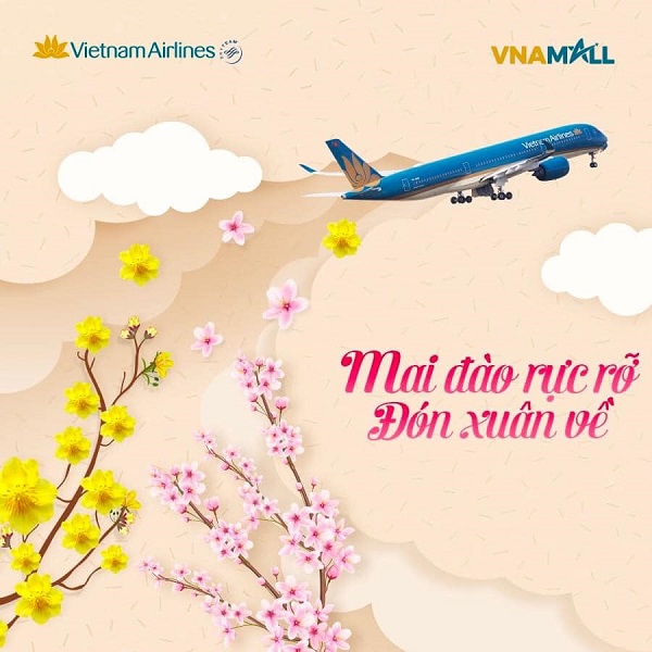vna-quy-dinh-van-chuyen-mai-dao