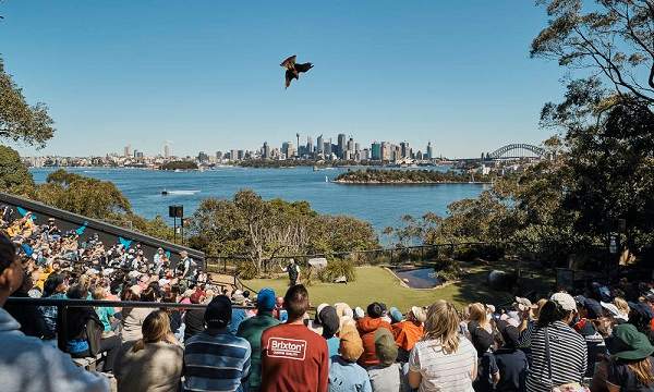 hoat-dong-o-taronga-zoo