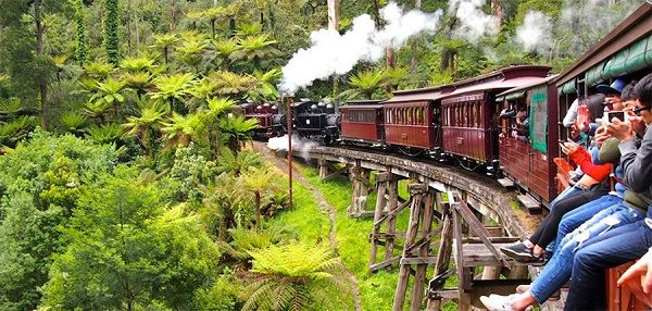 trai-nghiem-puffing-billy