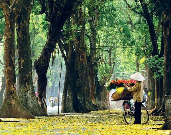 ganh-hang-rong-hanoi