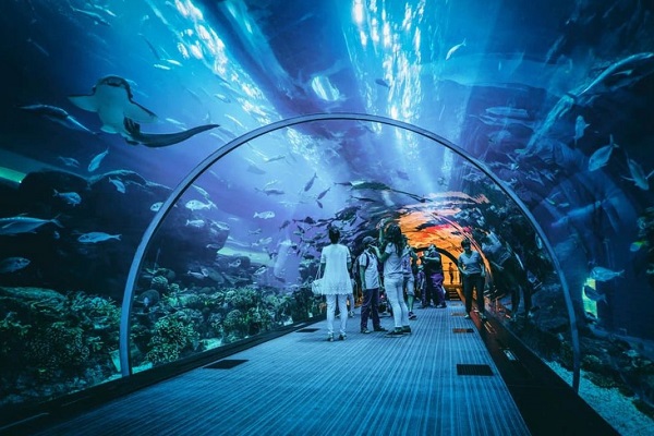 jakarta-aquarium