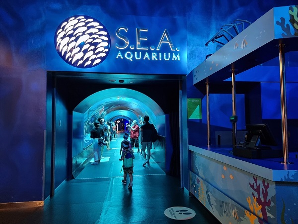 thuy-cung-sea-aquarium