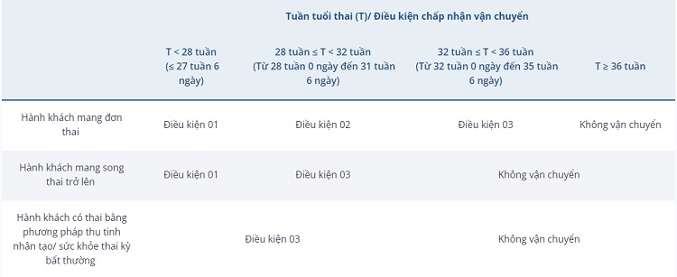 bang-dieu-kien-pn-mang-thai-di-mbay-bamboo