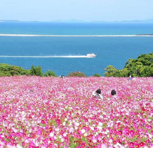 Nokonoshima-min