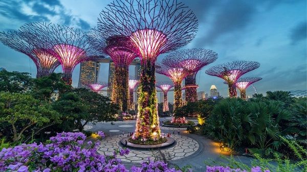 gardens-by-the-bay-singapore