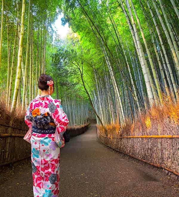 rung-tre-Arashiyama-min