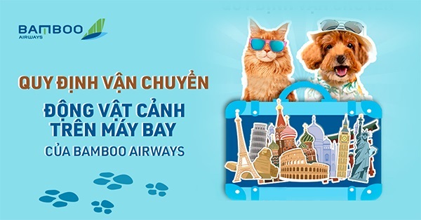 Cập nhật mới nhất về dịch vụ vận chuyển động vật cảnh trên chuyến bay Bamboo Airways!