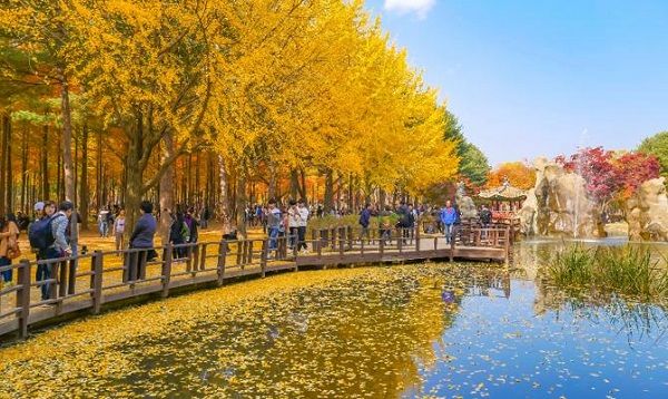 tpho-chuncheon