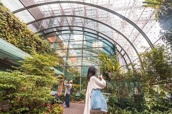 butterfly-garden-changi