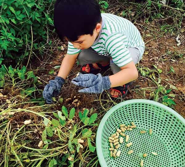Cho trẻ nghỉ hè ở những khu dã ngoại thú vị quanh Hà Nội