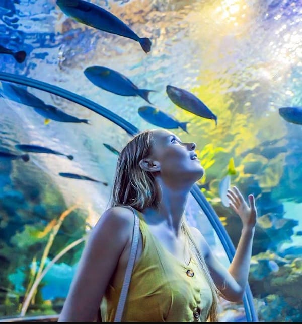 Underwater-World-Langkawi-min