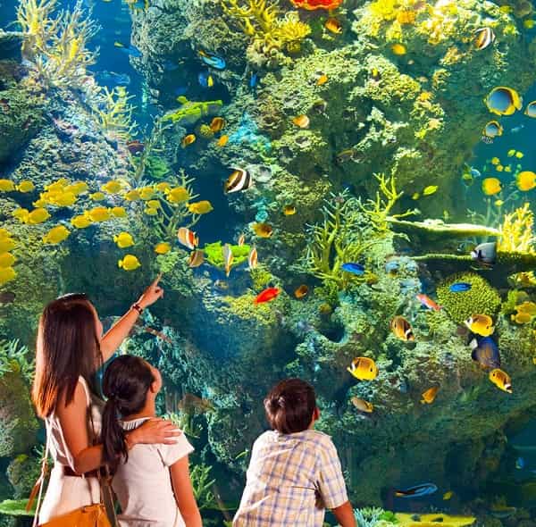 Khám phá những điểm du lịch sắp được ra mắt tại Singapore 