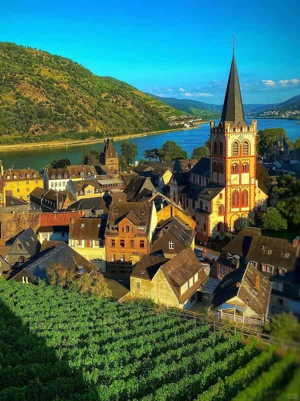 thi-tran-Bacharach-4-min