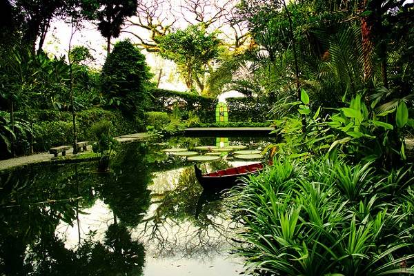 tropical-spice-garden