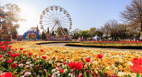 le-hoi-floriade-canberra