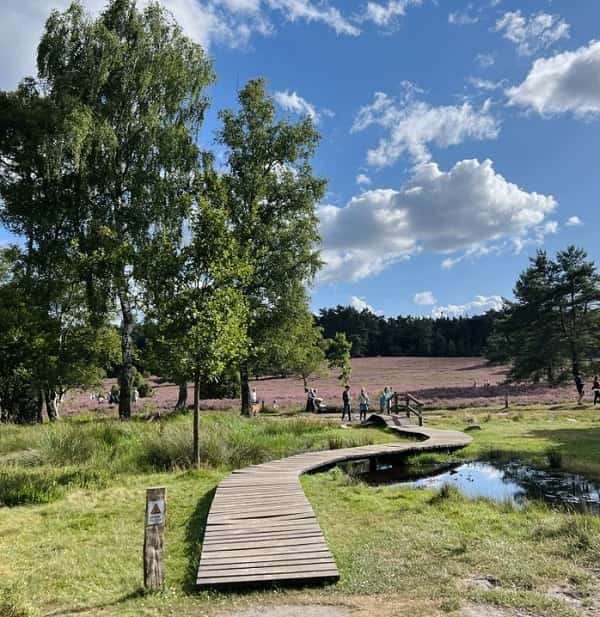 Lueneburger-Heide-2-min