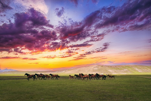 thao-nguyen-cam-hai-tu