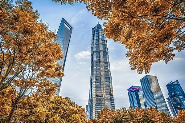 Thượng Hải mùa thu đẹp đến nhường nào?