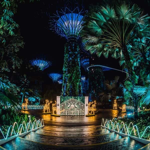 ve-may-bay-di-singapore-cua-vna-3-min