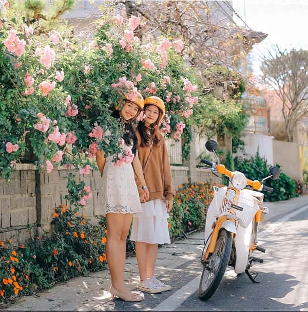 duong-co-giang-2-min