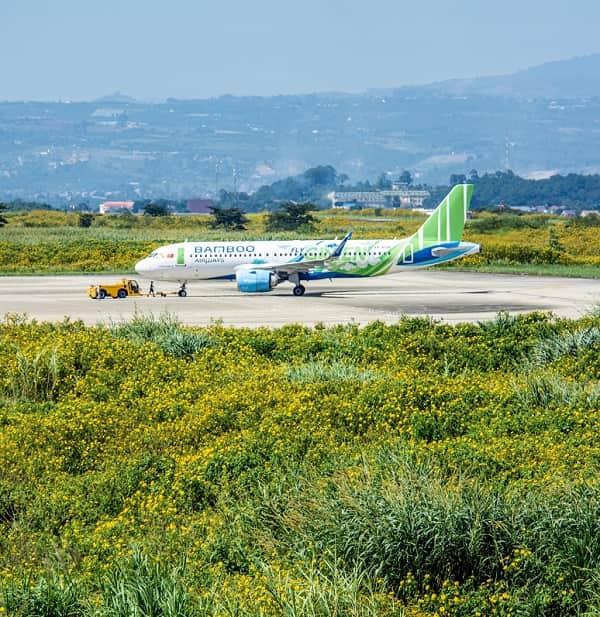 ve-gia-tot-thang-11-bamboo-airways-3-min