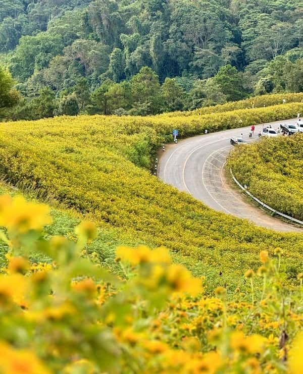 doi-Doi-Mae-UKho-min