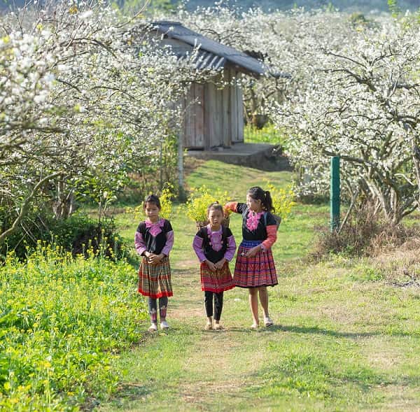 mai-chau-thang-12-2-min