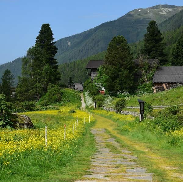 thung-lung-Aurina-3-min