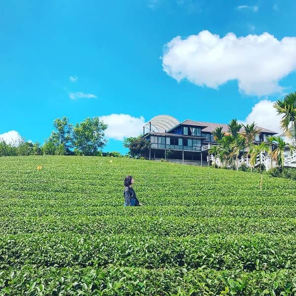 Những trải nghiệm du lịch nổi bật tháng 12 dọc miền đất nước