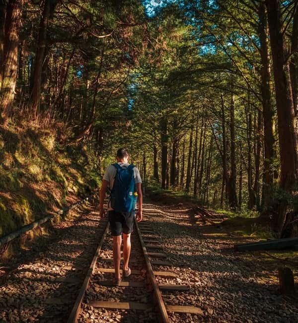 kham-pha-Alishan-2-min