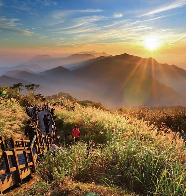 kham-pha-Alishan-4-min