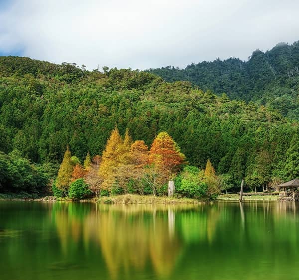 kham-pha-Alishan-5-min