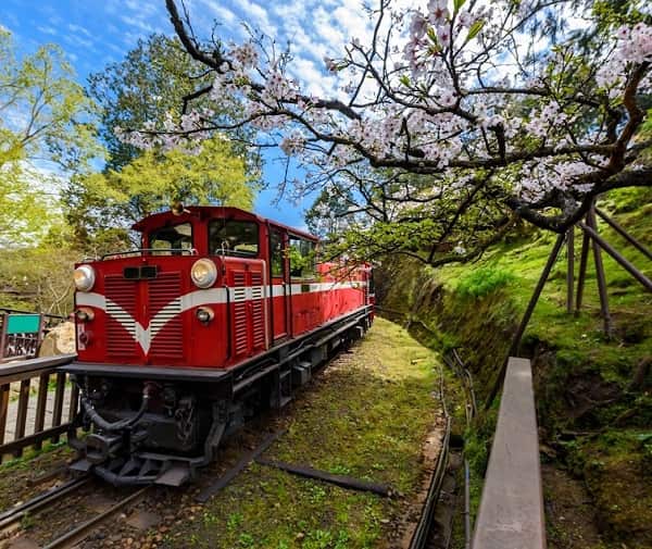 kham-pha-Alishan-6-min