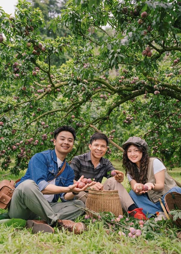 hai-man-moc-chau-min