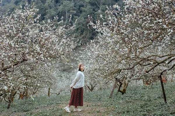 du-lich-moc-chau-thang-1