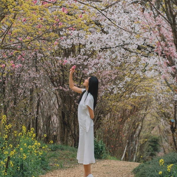 mua-xuan-Fukushima-2