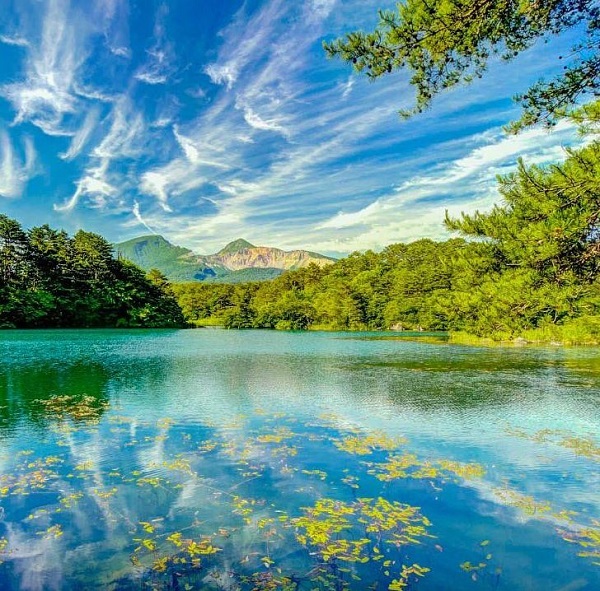 mua-xuan-Fukushima-3