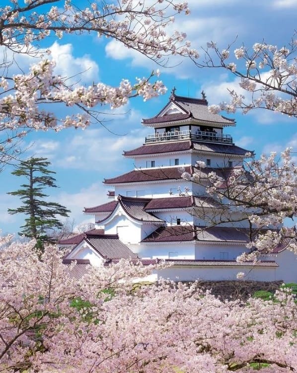 mua-xuan-Fukushima-4