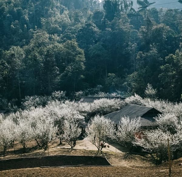 du-lich-bac-ha-thang-1-2