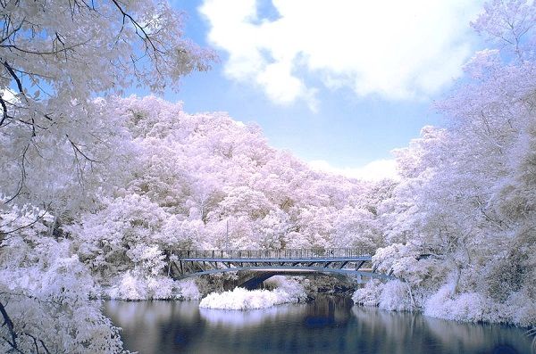 ho-nhat-nguyet-mua-xuan