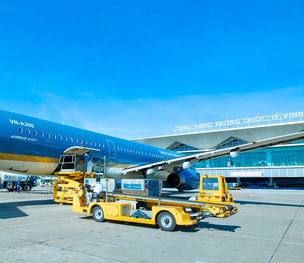 Cập nhật, lịch trình và giá vé các đường bay nội địa mới mở từ tháng 02/2026 của Vietnam Airlines