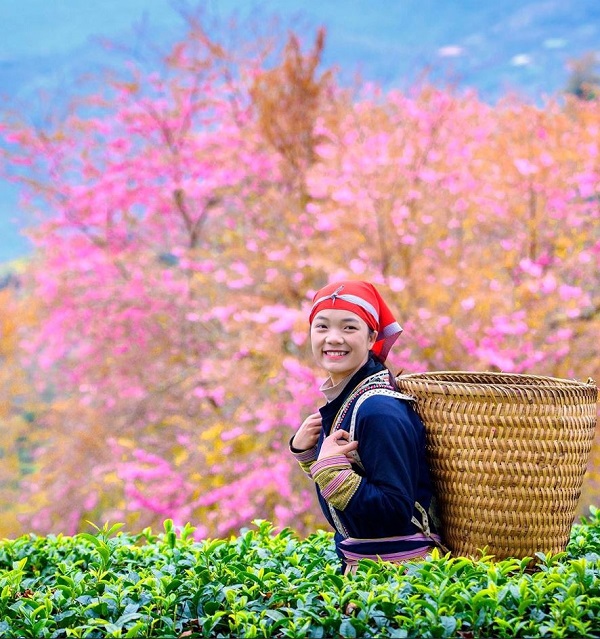 05 điểm du xuân hấp dẫn nhất Miền Bắc năm 2026