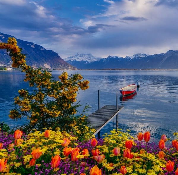 Bật mí 5 điểm ngắm sắc xuân siêu đẹp ở Thụy Sĩ
