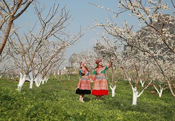 Lào Cai có những địa danh du lịch nổi tiếng nào?