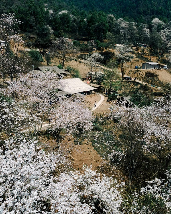 dien-bien-dep-thang-3-1