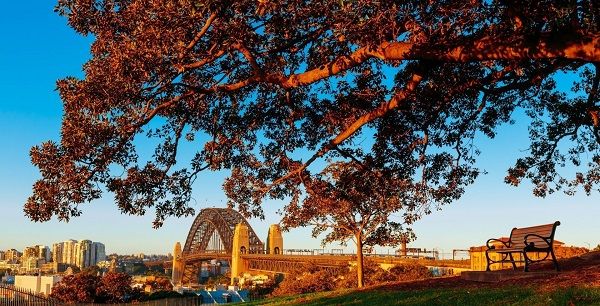 Khám phá sắc thu ở thành phố cảng Sydney (Úc) với những trải nghiệm độc đáo