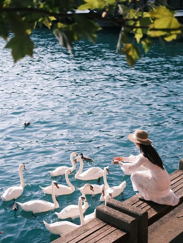 Say lòng trước cảnh đẹp như tranh tại hai khu hồ nổi tiếng Thụy Sĩ