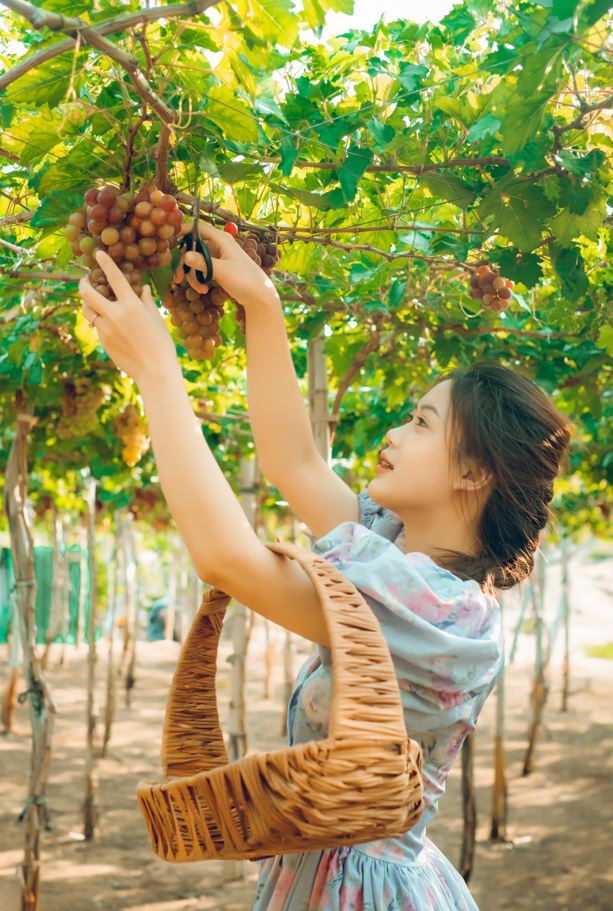 du-lich-nghi-ngoi-vinh-hy-6