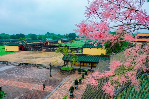 Chiêm ngưỡng những mùa hoa tháng 4 đẹp nao lòng ở xứ Huế